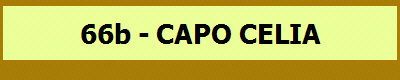 66b - CAPO CELIA